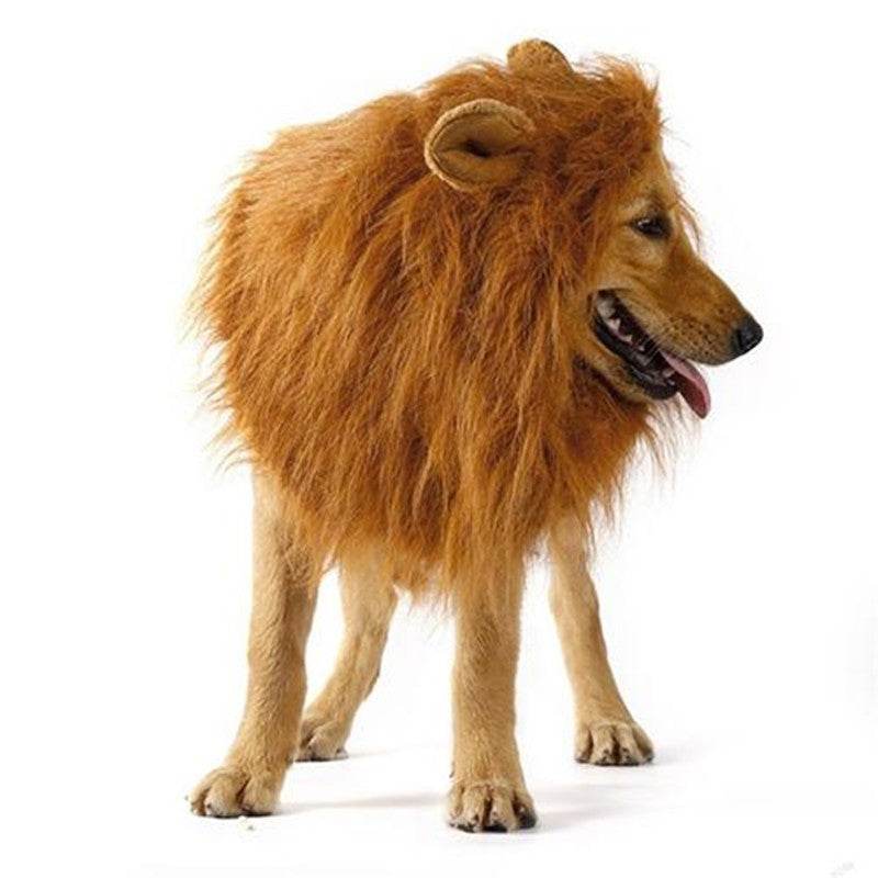 Crignère de lion pour animaux - Style & confort