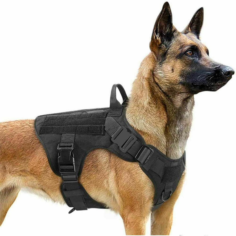 Harnais tactique militaire pour chien - Style & confort