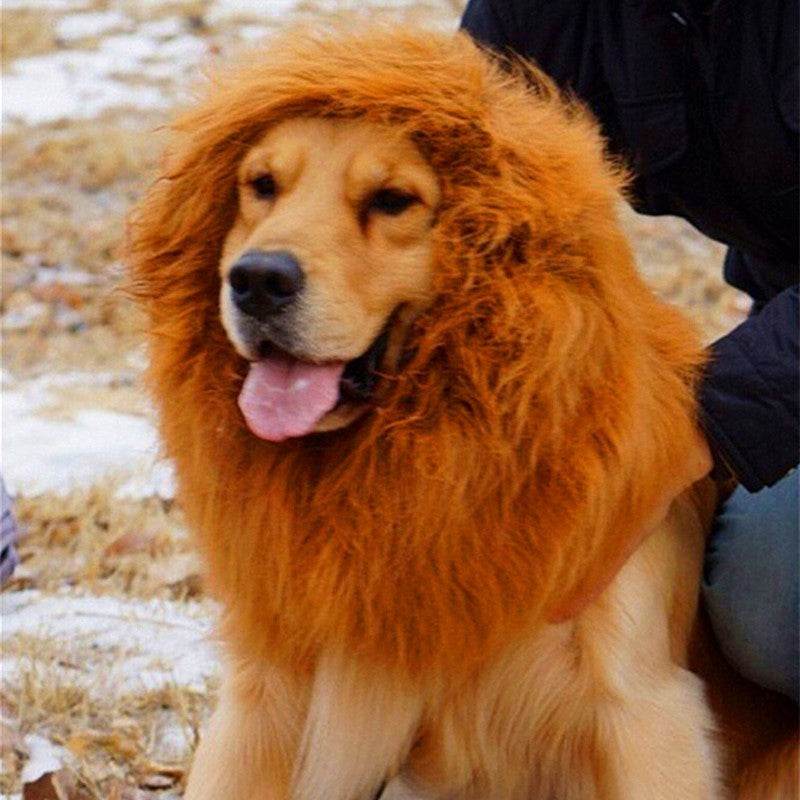 Perruque crinière de lion pour grands chiens - Style & confort