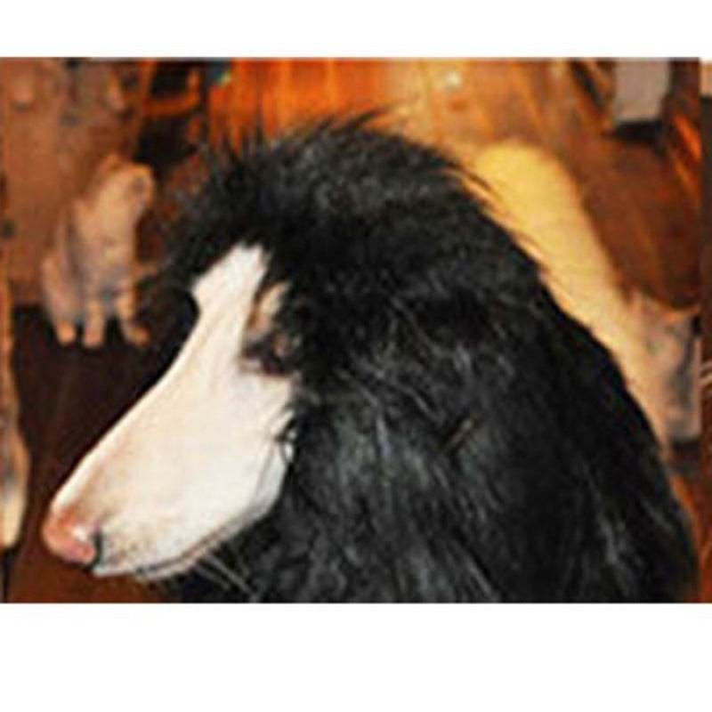 Perruque crinière de lion pour grands chiens - Style & confort