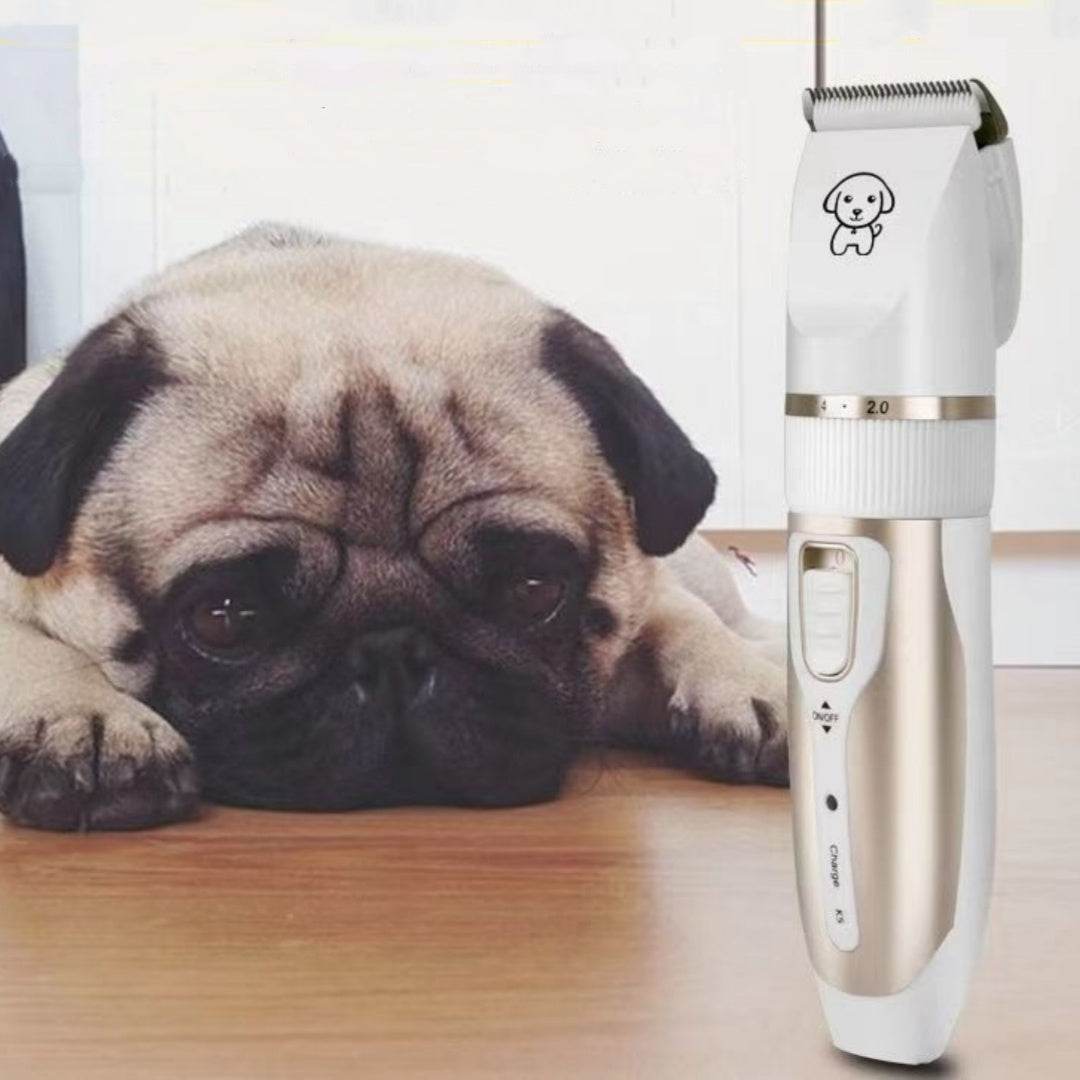 Tondeuse électrique pour animaux de compagnie, pour chats et chiens - Style & confort