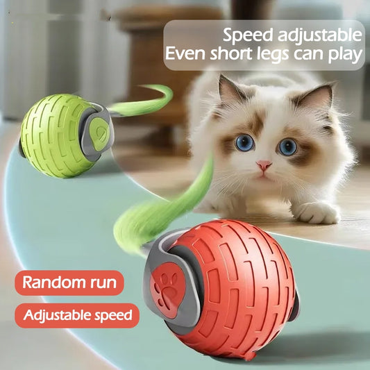 Jouets intelligents pour chats, chatons, rechargeable par USB